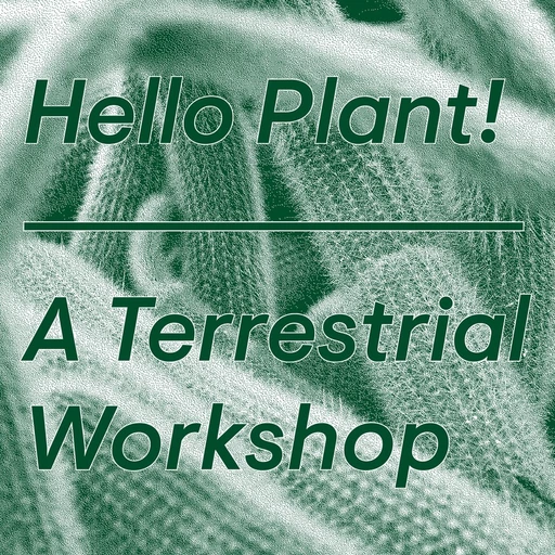 agd.126.helloplantworkshop.webp