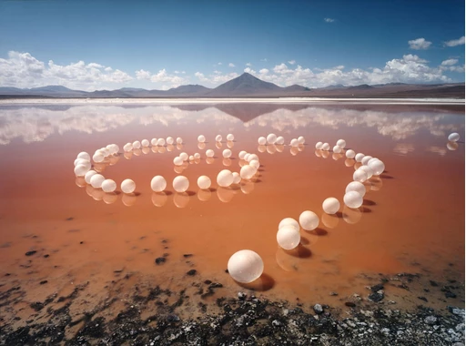 Scarlett Hooft Graafland - Vanishing Traces