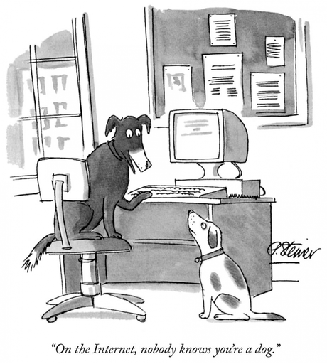 On the Internet, nobody knows you’re a dog – Pieter Steiner