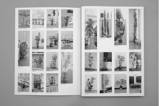 The Plant Collection, Amsterdam, Roma Publications 2019